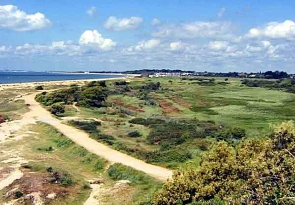 The Olive Tree Bed & Breakfast Gosport Luaran gambar